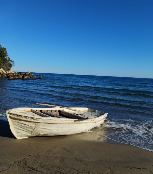 Gamza Özkan-Liman 141125.png